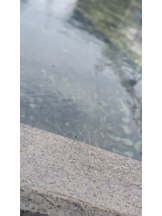 桃白白 - つむぎの女の子ブログ画像