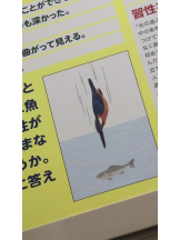 桃白白 - つむぎの女の子ブログ画像