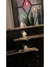 桃白白 - つむぎの女の子ブログ画像