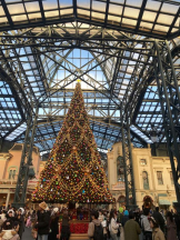 桃白白 - すずの女の子ブログ画像