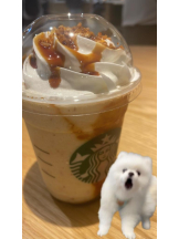 桃白白 - さくらの女の子ブログ画像