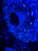 桃白白 - さくらの女の子ブログ画像