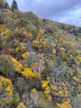 桃白白 - さくらの女の子ブログ画像