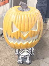 桃白白 - さくらの女の子ブログ画像