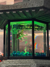 桃白白 - ななの女の子ブログ画像