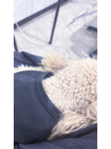 桃白白 - ななの女の子ブログ画像