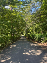 桃白白 - きらりの女の子ブログ画像