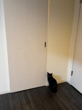 桃白白 - きらりの女の子ブログ画像