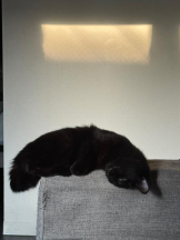 桃白白 - きらりの女の子ブログ画像