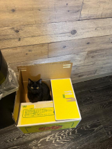 桃白白 - きらりの女の子ブログ画像