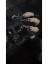 桃白白 - きらりの女の子ブログ画像