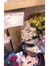 ばすたぶ - はなの女の子ブログ画像