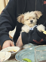 リアーナ - めいみの女の子ブログ画像