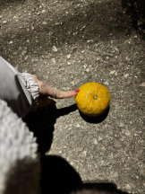 はだえぷ - るいの女の子ブログ画像