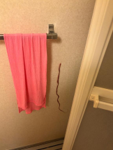 はだえぷ - るいの女の子ブログ画像