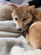 サッポロ ガーデン - ひびきの女の子ブログ画像