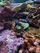 ガーリールーム - ゆいの女の子ブログ画像