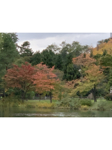 リアーナ - 黒服としの女の子ブログ画像