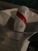 EN女医 - Dr.かれんの女の子ブログ画像