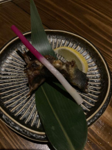 EN女医 - Dr.かれんの女の子ブログ画像