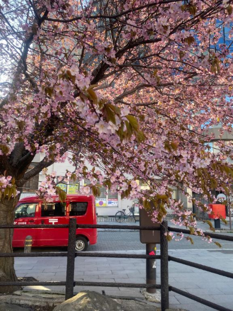 女の子ブログ添付画像1