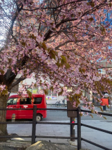 ガーリールーム - りこの女の子ブログ画像