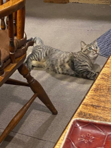 ガーリールーム - ゆうなの女の子ブログ画像