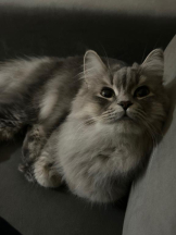 ガーリールーム - ゆうなの女の子ブログ画像