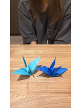 ファーストクラス - CAかりなの女の子ブログ画像