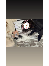 EN女医 - Dr.まむの女の子ブログ画像