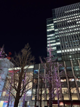 DREAM BEACH - しぐれの女の子ブログ画像