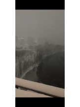 DREAM BEACH - しぐれの女の子ブログ画像