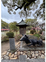 DREAM BEACH - しぐれの女の子ブログ画像