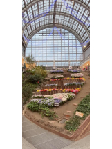 DREAM BEACH - しぐれの女の子ブログ画像