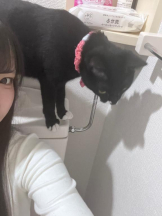 ファーストクラス - CAみさの女の子ブログ画像
