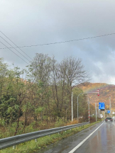 ミルクアイドル - ふうかの女の子ブログ画像