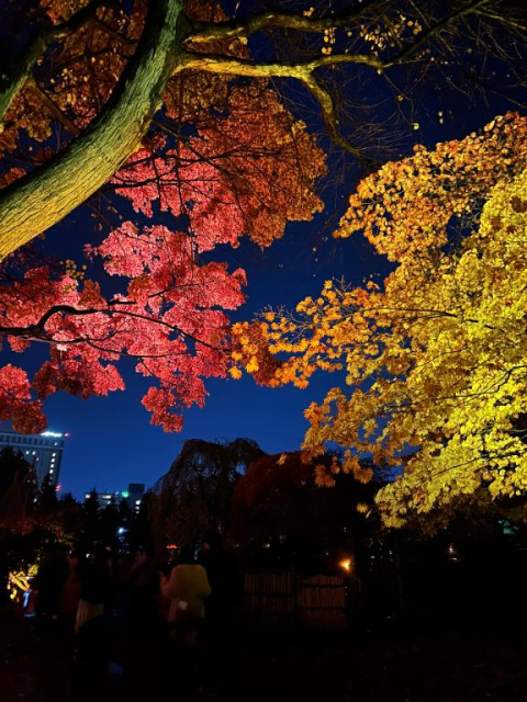 女の子ブログ添付画像1