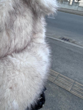 ミルクアイドル - のあの女の子ブログ画像