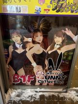 BUNNY collection - 中の人の女の子ブログ画像