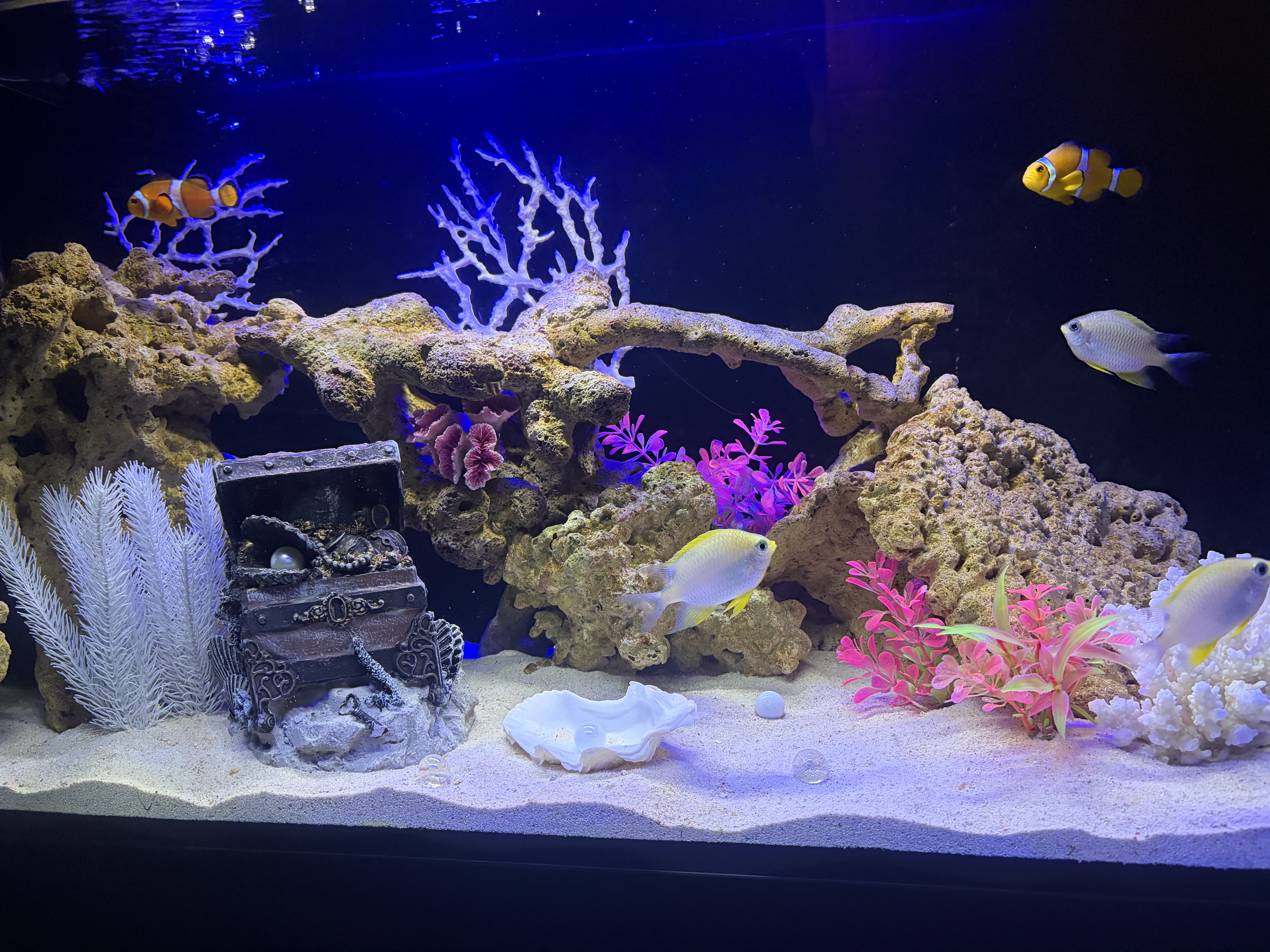 女の子ブログ添付画像1