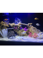 BUNNY collection - 中の人の女の子ブログ画像