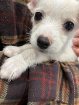 ガーリールーム - なぎの女の子ブログ画像