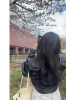 DREAM BEACH - あんずの女の子ブログ画像