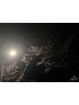 ファーストクラス - CAかぐらの女の子ブログ画像