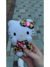 ファーストクラス - CAせいらの女の子ブログ画像
