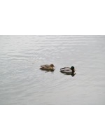 神ってるAKBガール - みかの女の子ブログ画像