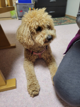 春夏冬 - まいの女の子ブログ画像