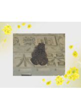 春夏冬 - まいの女の子ブログ画像