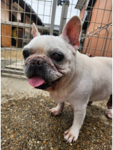 春夏冬 - まいの女の子ブログ画像