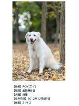 春夏冬 - まいの女の子ブログ画像